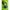 Headphones BUSHNELL Blue-4