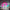 CinnamoRoll Neon Sign Anime Neon Sign For Wall Decor 5/12V USB Dimmable For Bedroom Game Room Livingroom Decor Gift For Kids