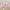 Sanrio Cinnamoroll Hair Accessories Cute Dog Headband Cartoon Plush Headband Cosplay Internet Celebrity Bow Cute Headband