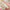 Sanrio Cinnamoroll Kuromi HelloKitty Melody Cotton Three-piece Cartoon Cute Quilt Cover Pillowcase Sheets Four-piece Bedding Set