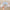 Sanrio Cinnamoroll Hair Accessories Cute Dog Headband Cartoon Plush Headband Cosplay Internet Celebrity Bow Cute Headband